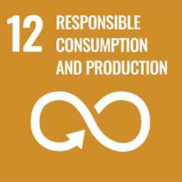 Icon showing the number 12 and the words Responsible Consumption