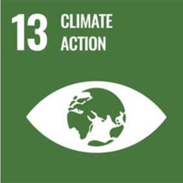 Icon showing the number 13 and the words Climate Action