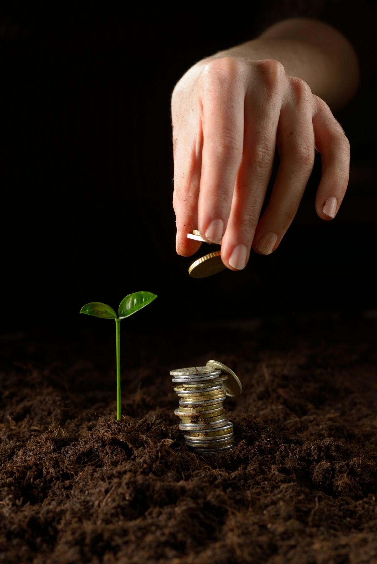 Woman’s hand placing coin atop a pile of coins sitting in dirt next to a growing plant.