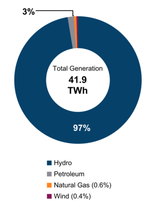 Figure 2: Electricity Generation by Fuel Type (2021)